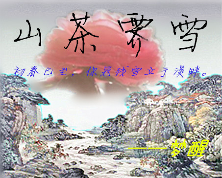 山茶霽雪（總譜）