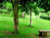 My Sweet Valentine-Tokimeki Memorial-Fujisaki Shiori