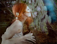 As the Deer-Martin J. Nystrom