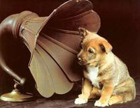 Minute Waltz Op.64/1-Dog Waltz