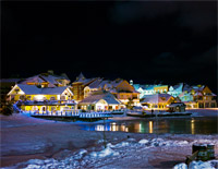 Winter Wonderland-Christmas Song