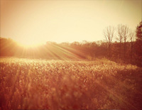 You Are My Sunshine-Jimmie Davis