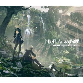 【尼爾：機(jī)械紀(jì)元】遺サレタ場所/斜光