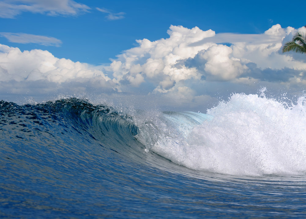 【SY】海邊的孩子