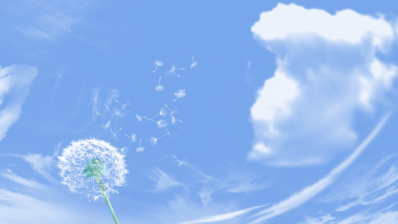 風(fēng)起始的地方