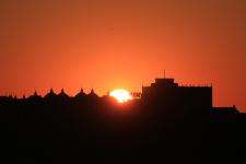 In the Morning Light