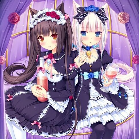 Aibyou(《巧克力與香子蘭OVA》插曲)