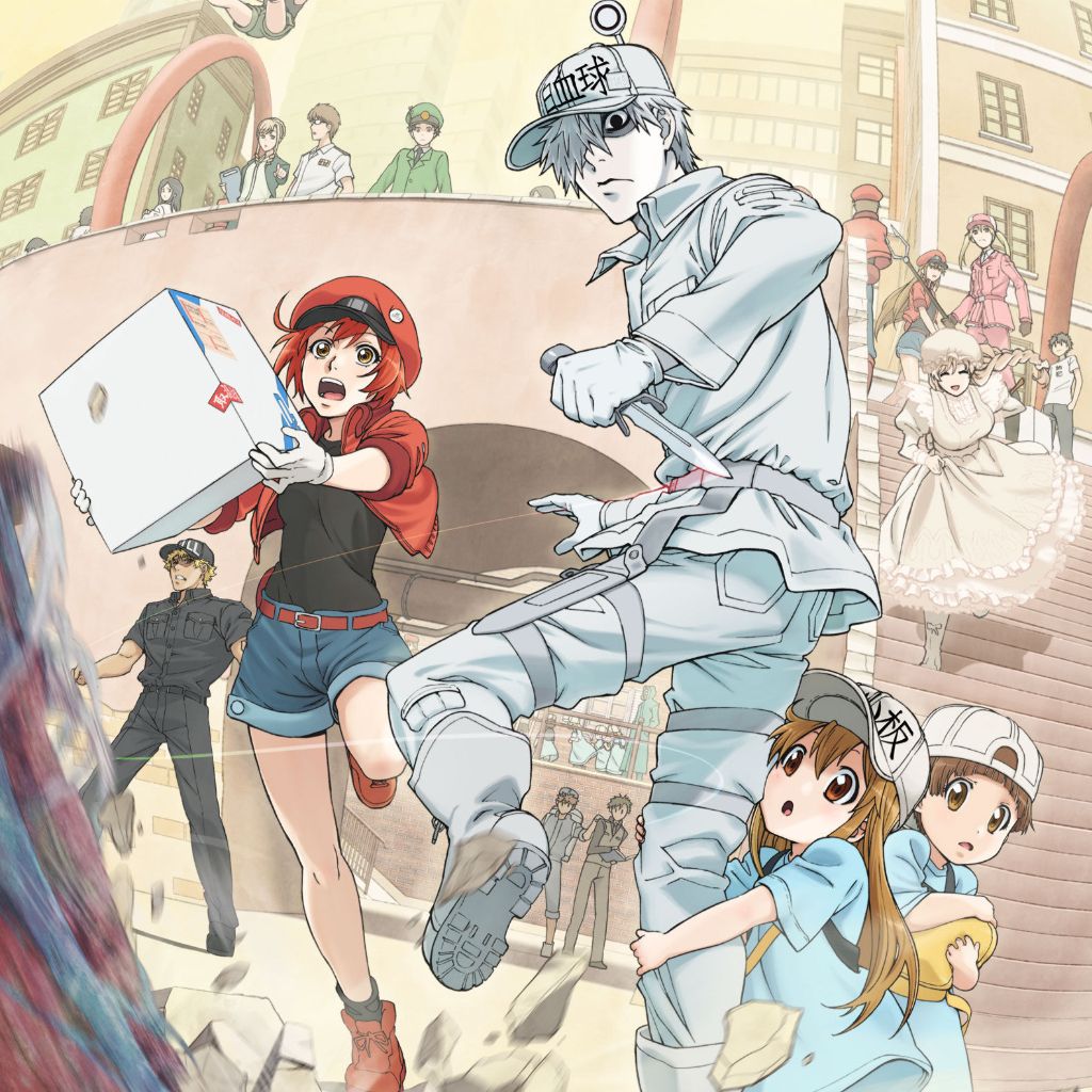 【《工作細胞》ED】 CheerS 完整版