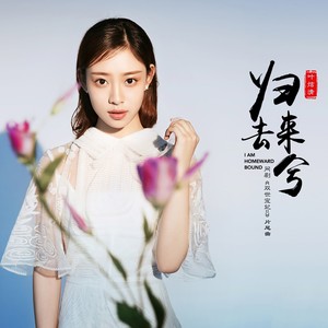 歸去來兮（雙世寵妃2片尾曲，葉炫清）
