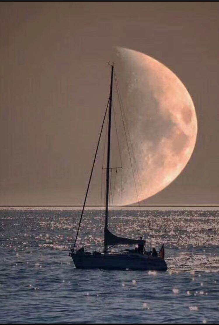 SEVEN   （生日快樂）