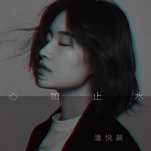 心如止水（抖音熱門歌曲）