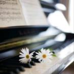 Little Verson of  Canon  in D（非常好聽，適合初學(xué)者）