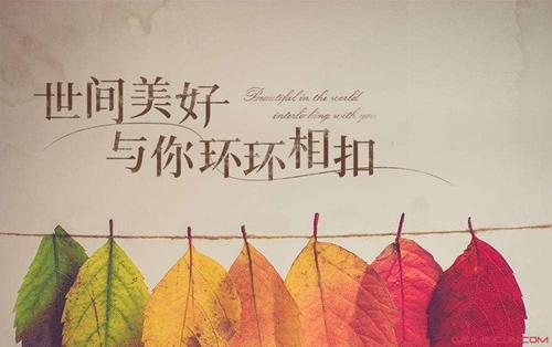 世間美好與你環環相扣 （Cuppix編配）