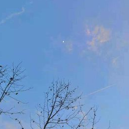 枯木逢春 - 這一生關于你的風景 (Cuppix編配)