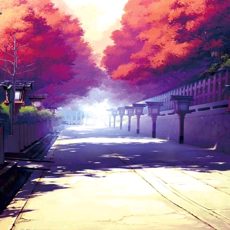 風居住的街道【A0008】