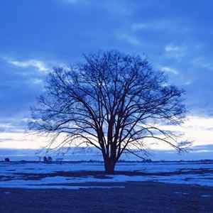 雪之夢（初級版）