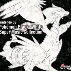 ブラックシティ(口袋妖怪BW_黑色城市)