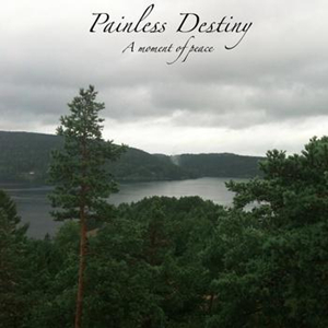 A moment of peace-Painless Destiny 完整版