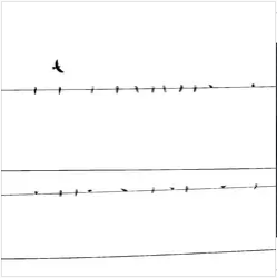 春天的花是冬天的夢