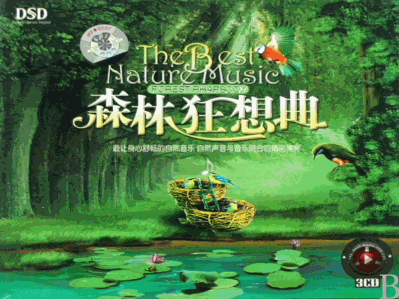 森林狂想曲  幼兒 簡單版（LY）