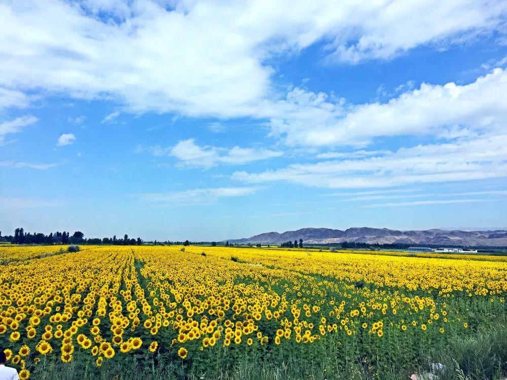 現代詩《江南》