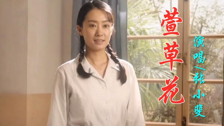 萱草花  C調(diào) 動聽完整