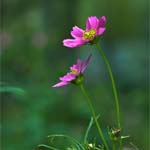 節(jié)拍練習(xí)（二）