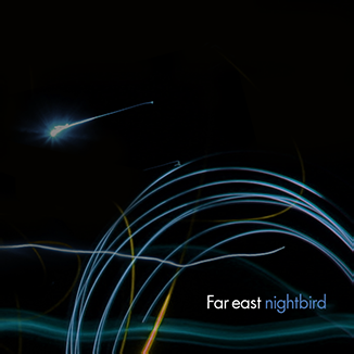 Far_east_nightbird