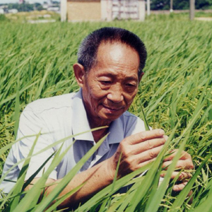 我有一個夢（袁隆平作詞）