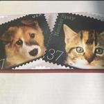 皇家萌衛(wèi)（文武貝）