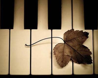 Canon（BiBiPiano版 C大調）