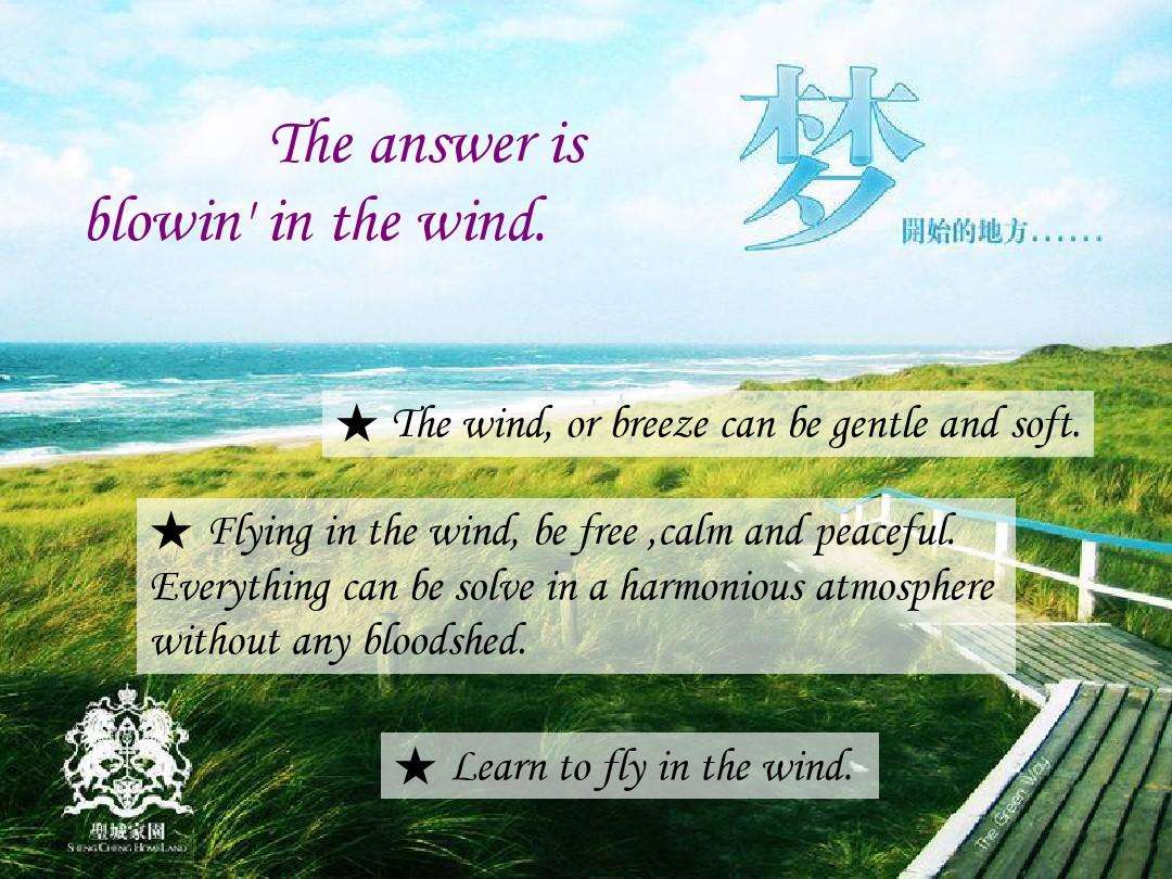 Fly A letter to the wind