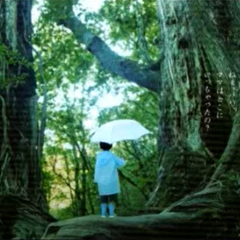 いま,會いにゆきます/時を超えて(現在，去見你/超越時空)