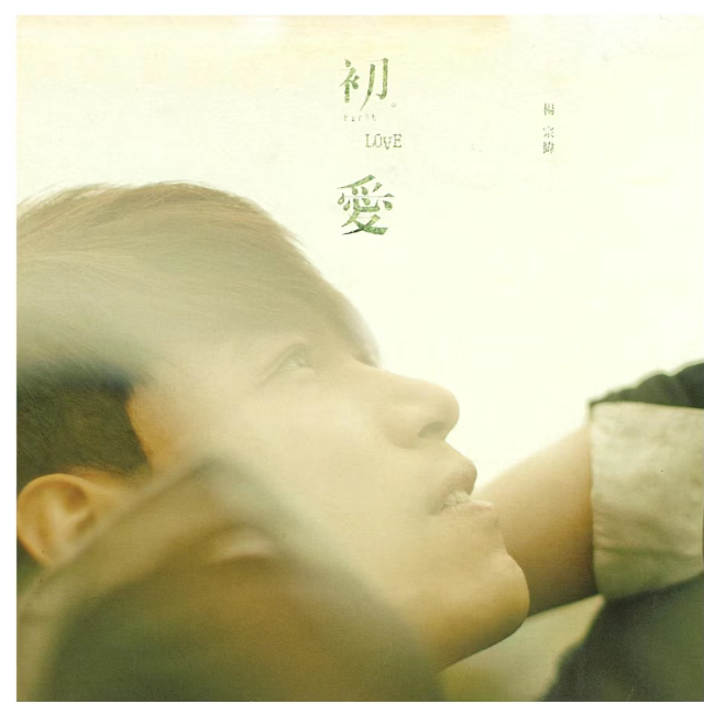 為了遇見(jiàn)你-楊宗緯 戚薇 鋼琴伴奏譜