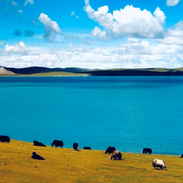 單身旅記（原調(diào)簡單版）