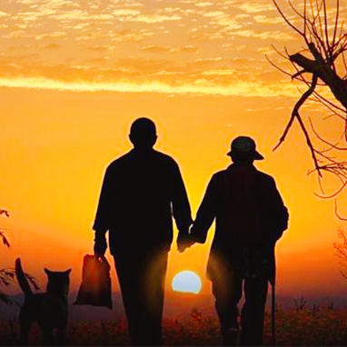 等著等著就老了