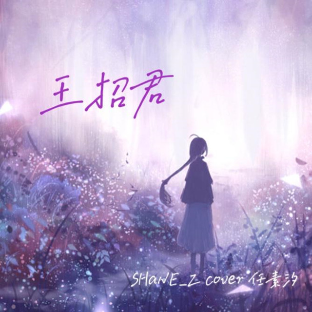 王招君（電影《尋漢計》推廣曲）