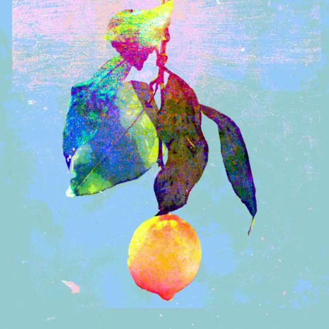 Lemon（法醫職業劇《非自然死亡》的主題曲）