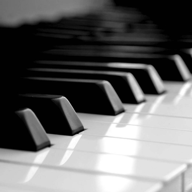 Dream Wedding 夢中的婚禮 初學者版