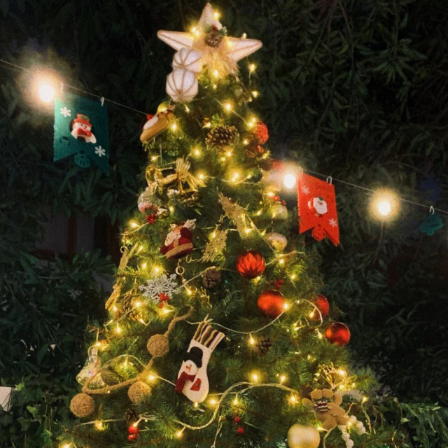 Silent Night（平安夜）-原版+改編