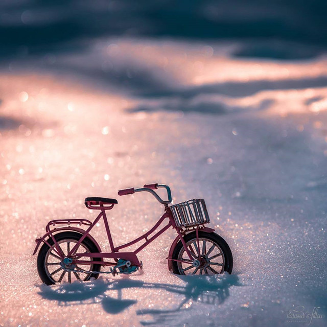 一天一天（Severus）