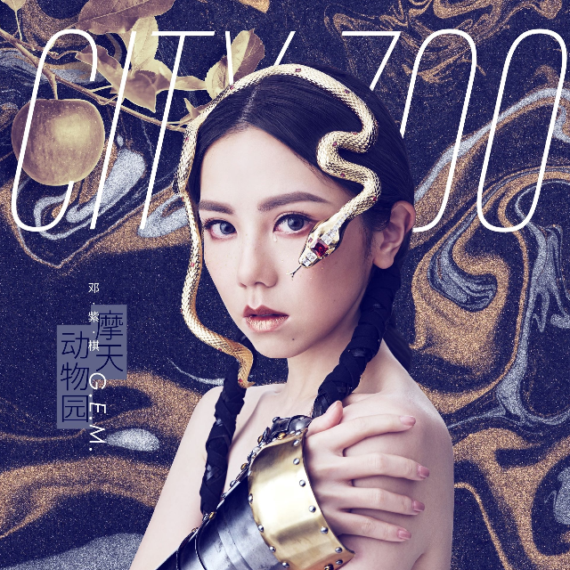 句號 鄧紫棋【彈唱譜】