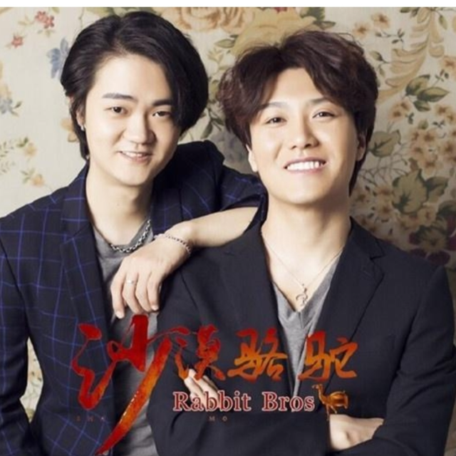 沙漠駱駝（初級(jí)版） C調(diào).