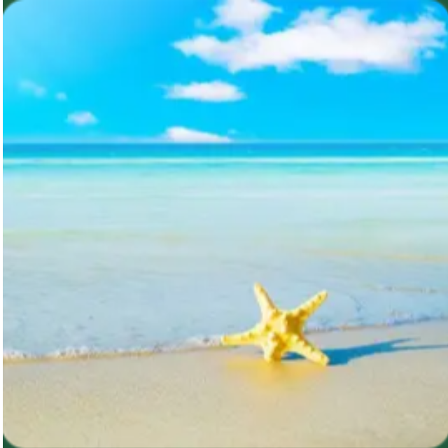 夏日循環（純享版）