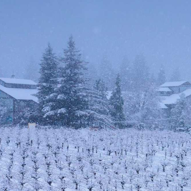 雪花輕輕飄落 Softly Falling Snow