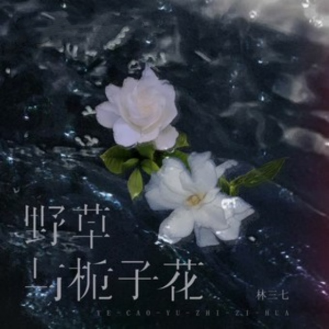 野草與梔子花   C調