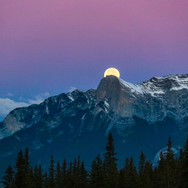 半個(gè)月亮爬上來(lái)