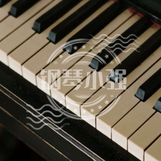 花之舞（指法版）