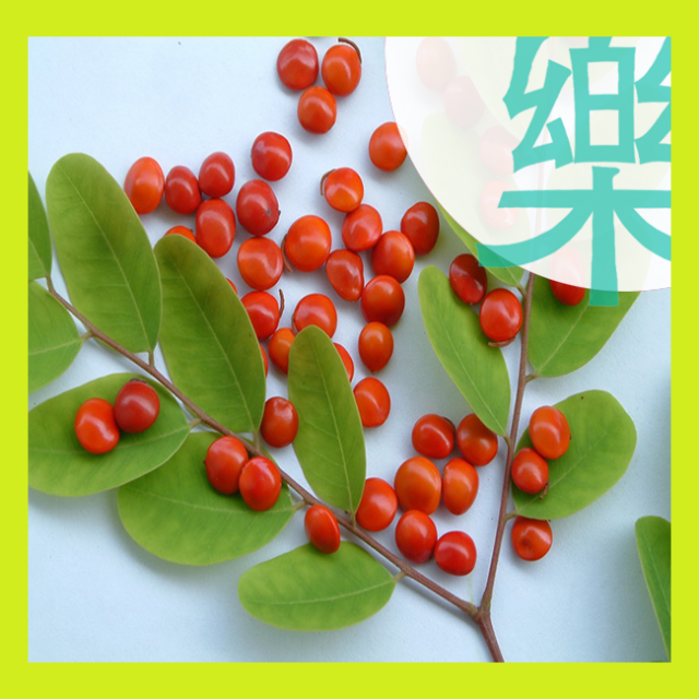 相思（思樂閣）