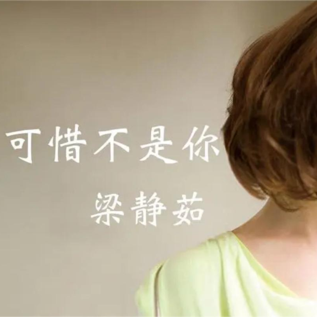 可惜不是你